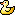 duck.gif von 123gif.de Download
